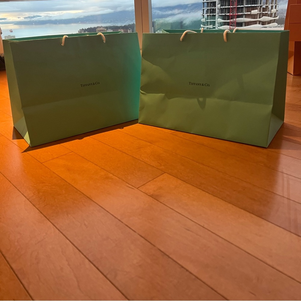 Tiffany & Co Medium Shopping bags. Authentic.